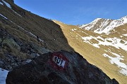 53 Salendo al Passo di Salmurano (2017 m) sul Sentiero delle Orobie 101
